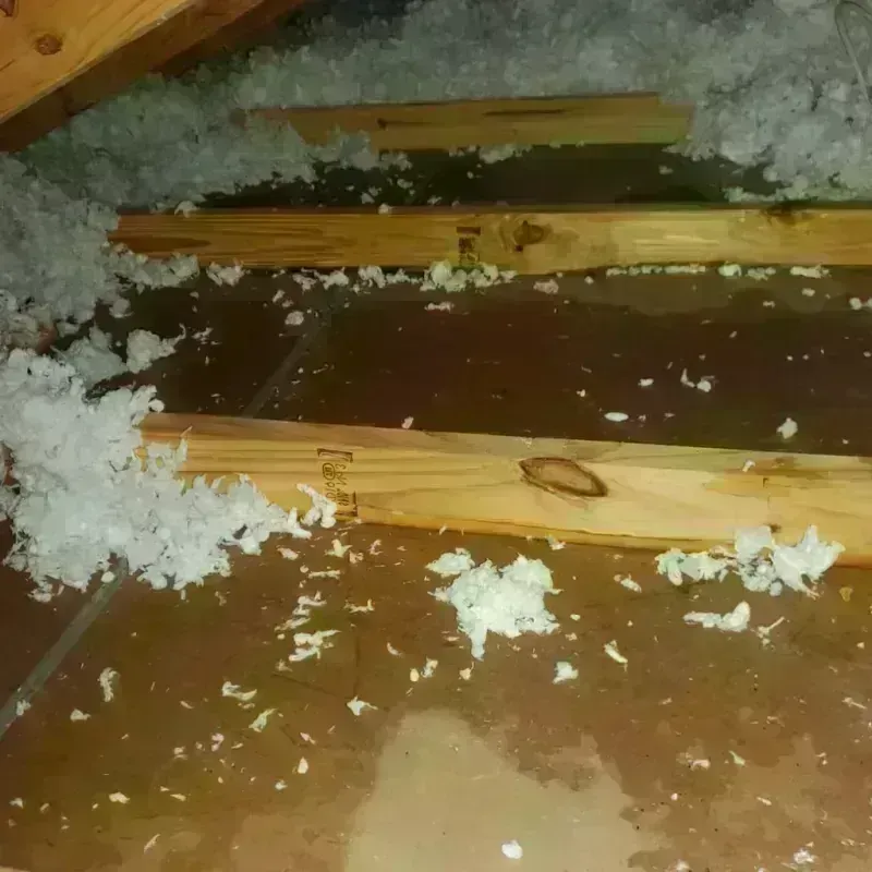 Attic Water Damage in Walnut Creek, CA