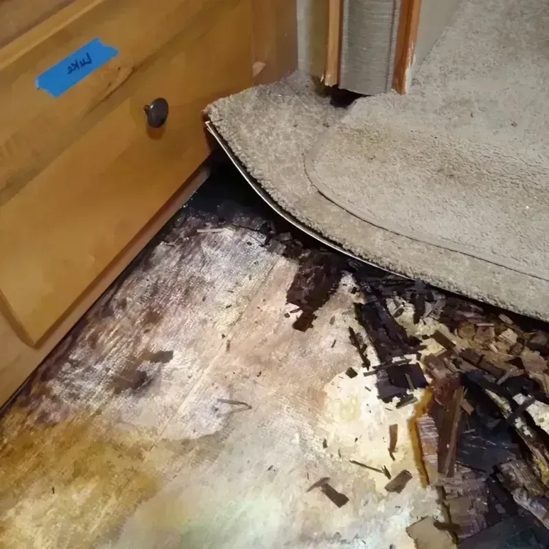 Wood Floor Water Damage in Walnut Creek, CA